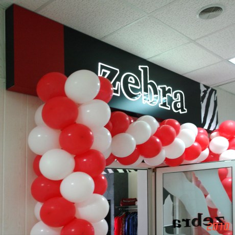 Zebra