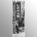 Стела Levi's
